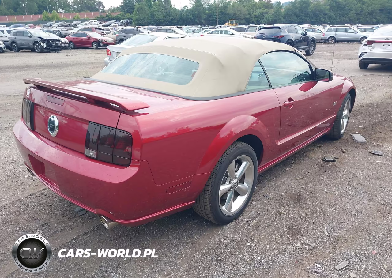 2006 Ford Mustang Gt VIN:1ZVHT85H765137467 - 4