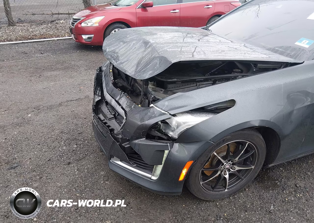2014 Cadillac Cts Luxury VIN:1G6AX5S35E0188643 - 16