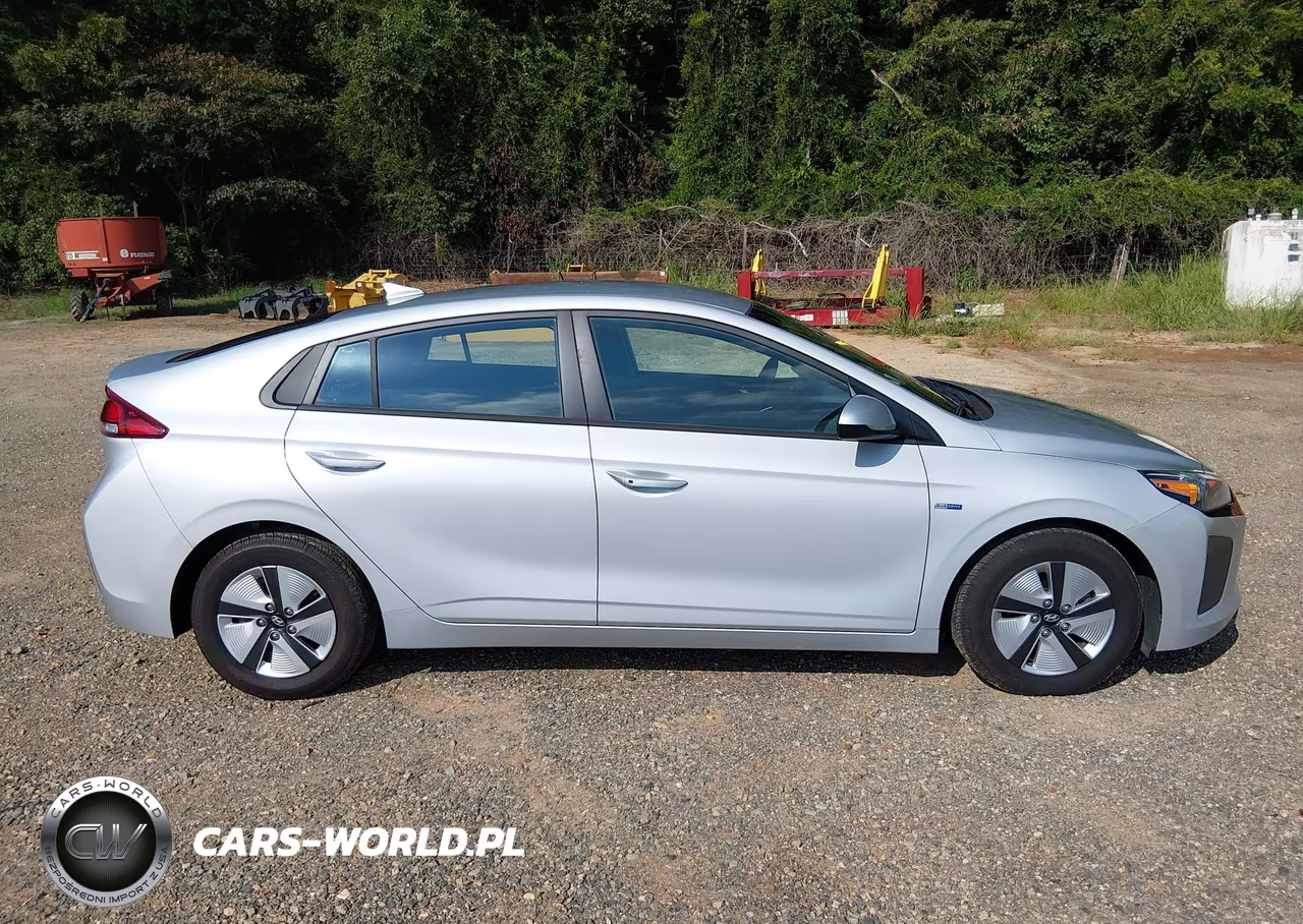 2019 Hyundai Ioniq Hybrid Blue VIN:KMHC65LC0KU158599 - 14