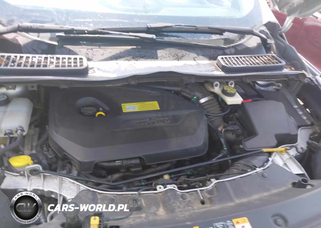 2013 Ford Escape Sel VIN:1FMCU0HX1DUB98083 - 10