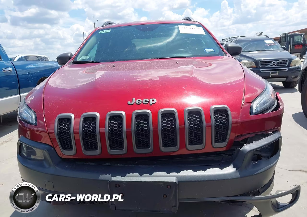2014 Jeep Cherokee Trailhawk VIN:1C4PJMBS5EW124738 - 12