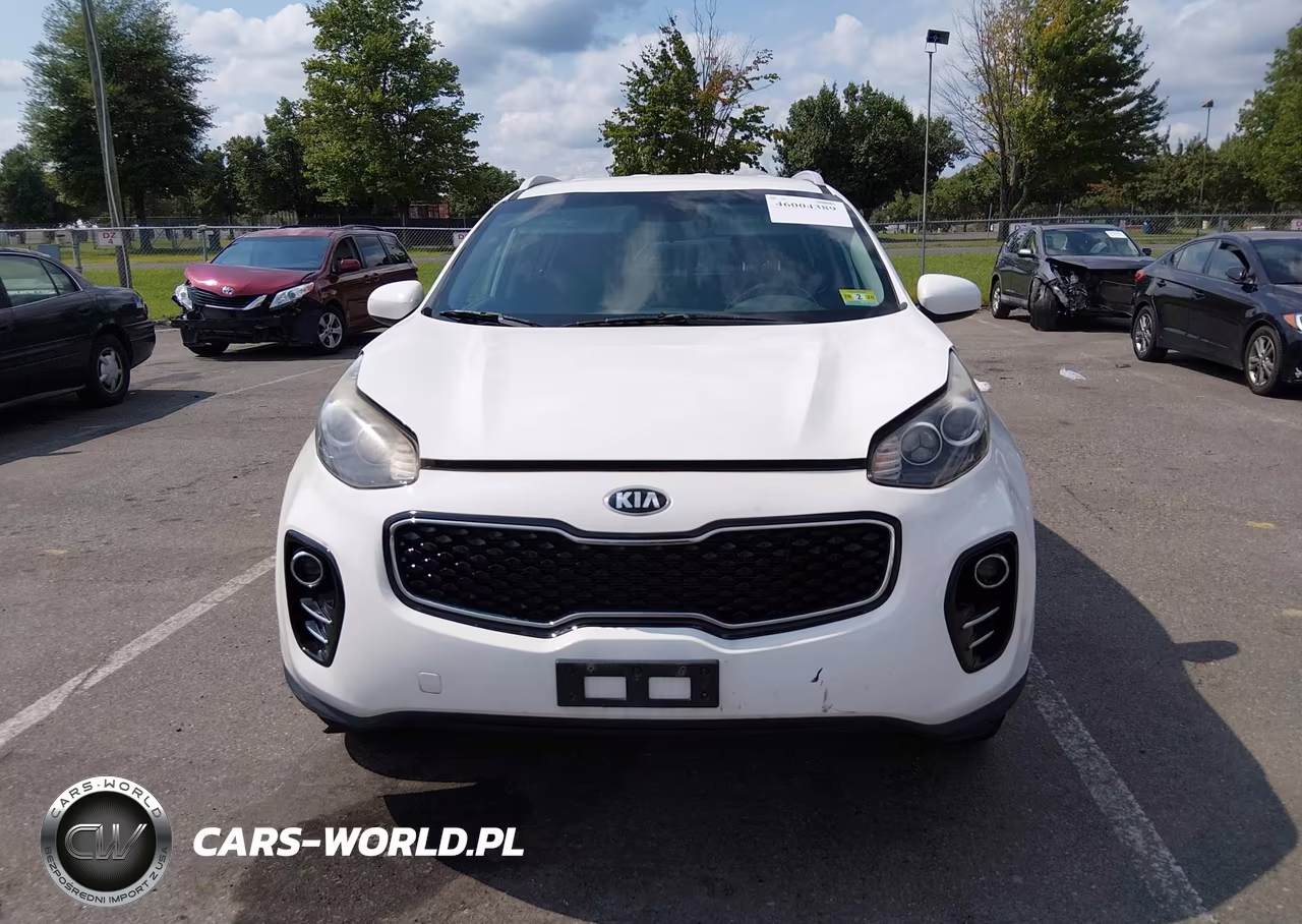 2019 Kia Sportage Lx VIN:KNDPMCAC7K7602644 - 12