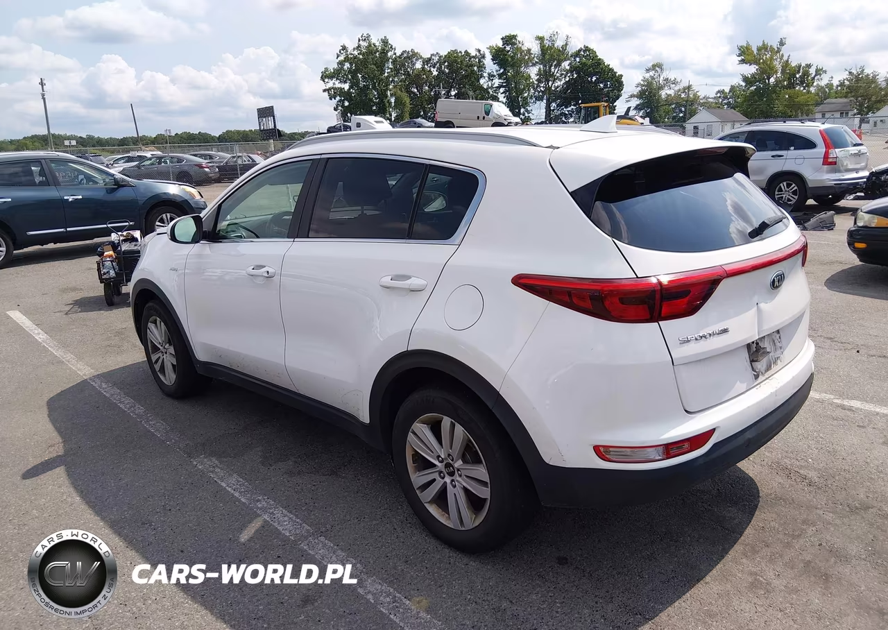 2019 Kia Sportage Lx VIN:KNDPMCAC7K7602644 - 3