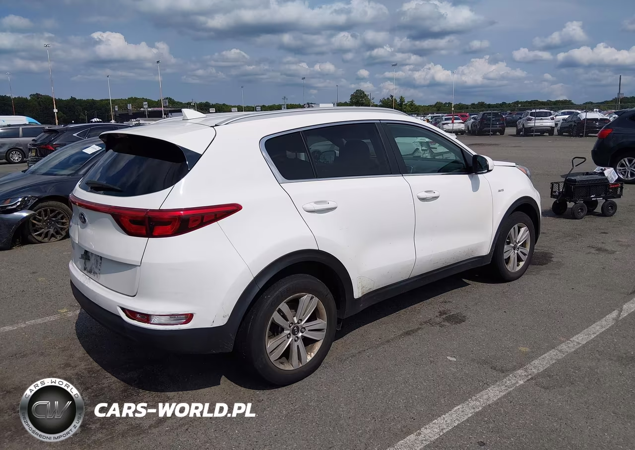 2019 Kia Sportage Lx VIN:KNDPMCAC7K7602644 - 4
