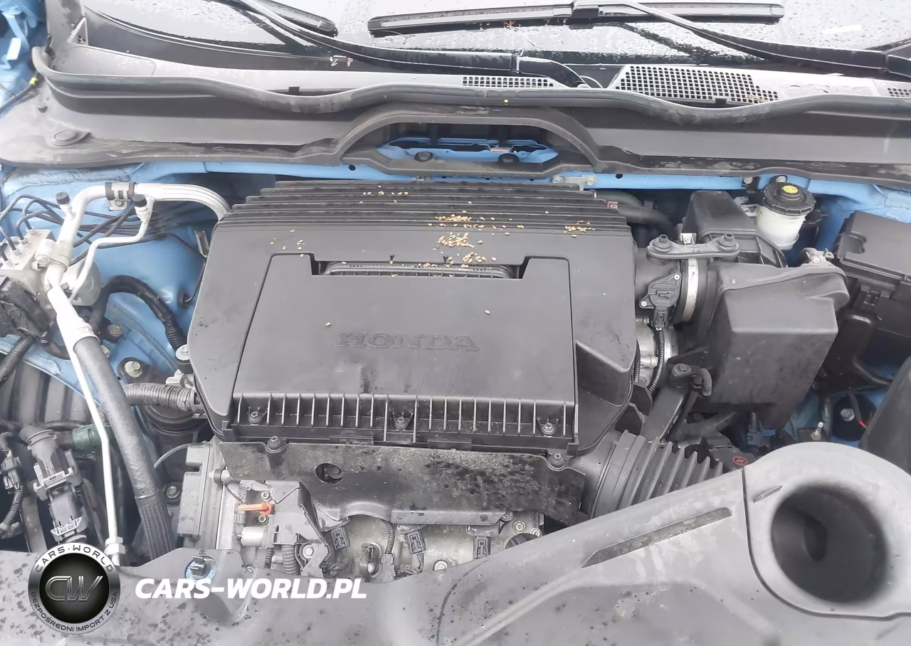 2025 Honda Pilot Trailsport VIN:5FNYG1H63SB024357 - 10