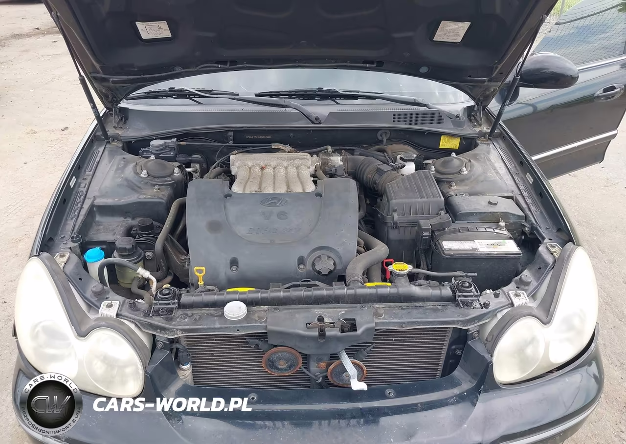 2004 Hyundai Sonata Gls-Lx VIN:KMHWF35H84A067286 - 10