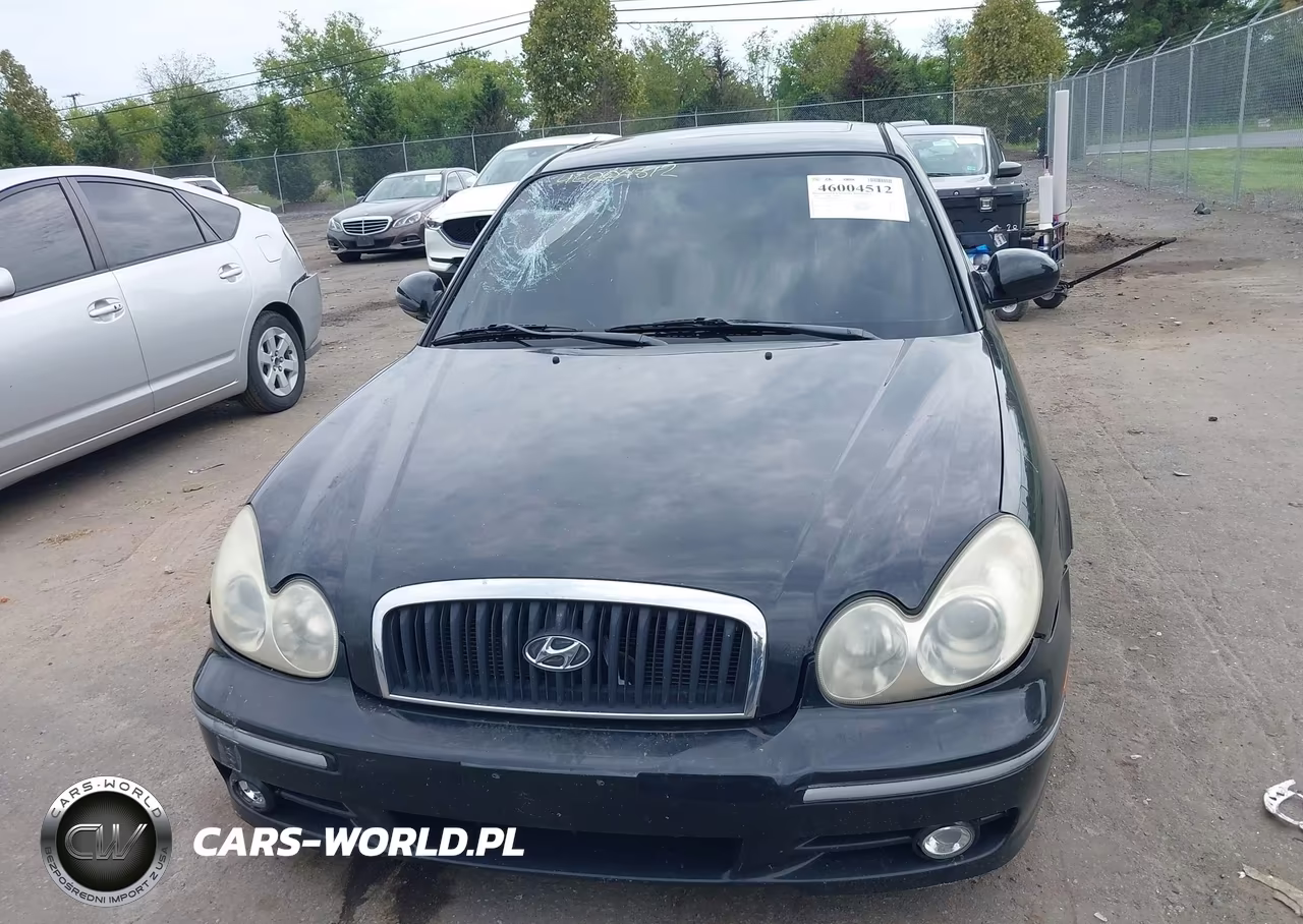 2004 Hyundai Sonata Gls-Lx VIN:KMHWF35H84A067286 - 12