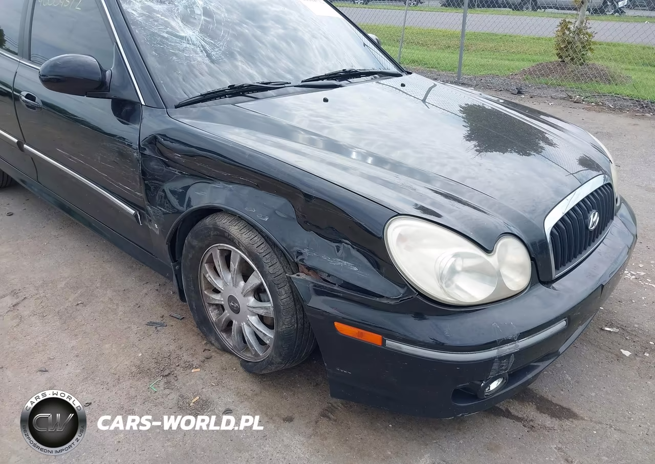 2004 Hyundai Sonata Gls-Lx VIN:KMHWF35H84A067286 - 6