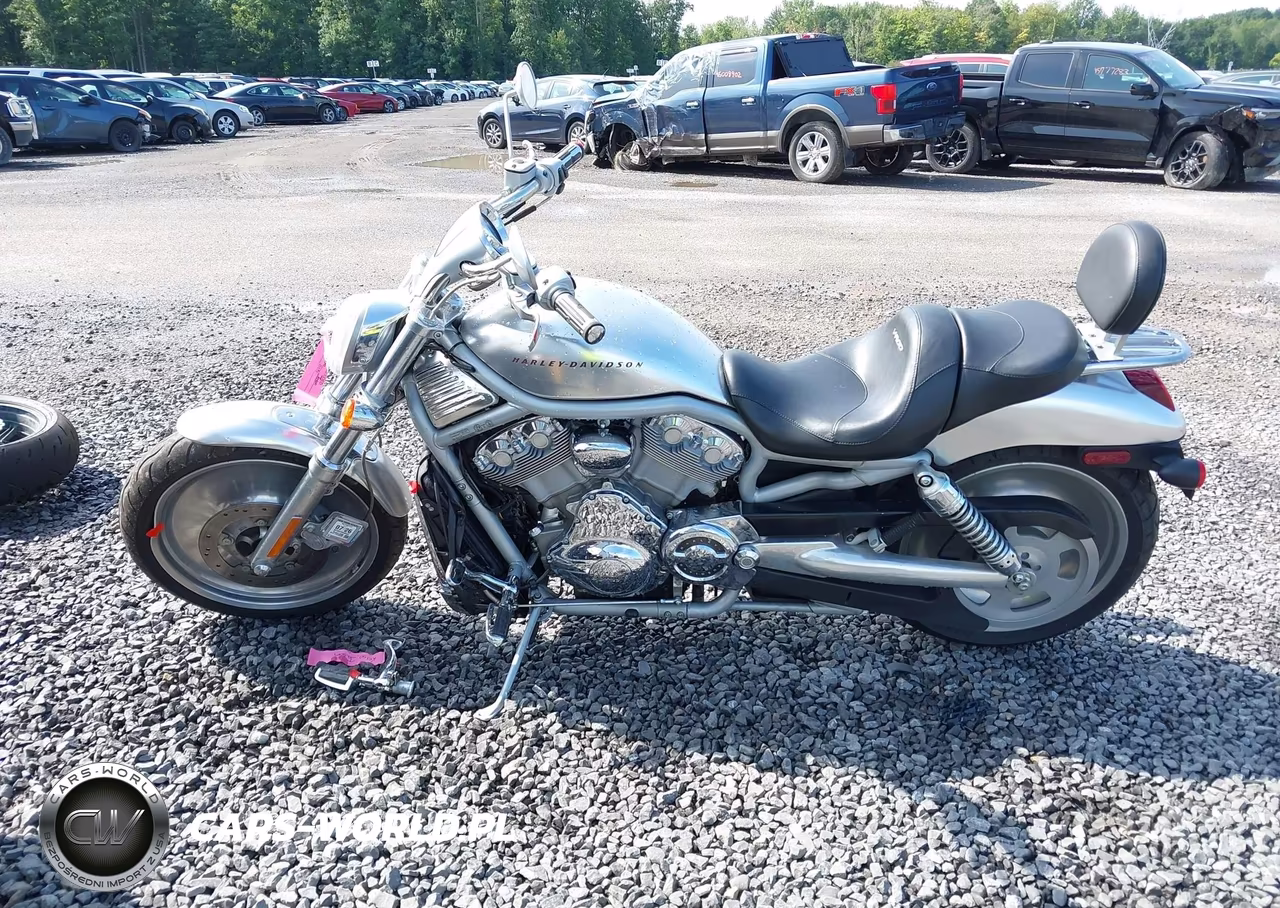 2002 Harley-Davidson Vrsca VIN:1HD1HAZ122K808614 - 12