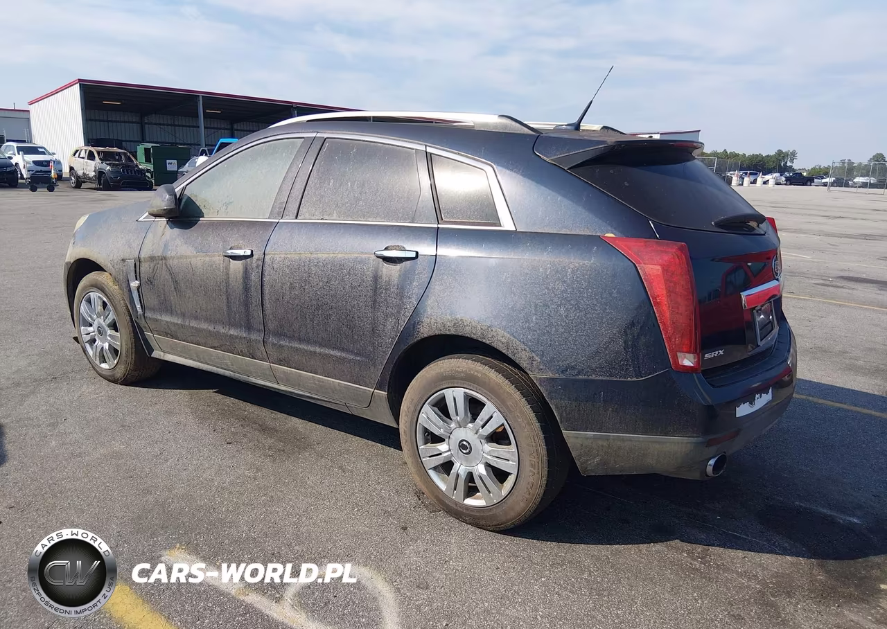 2010 Cadillac Srx Luxury Collection VIN:3GYFNAEY3AS586634 - 3