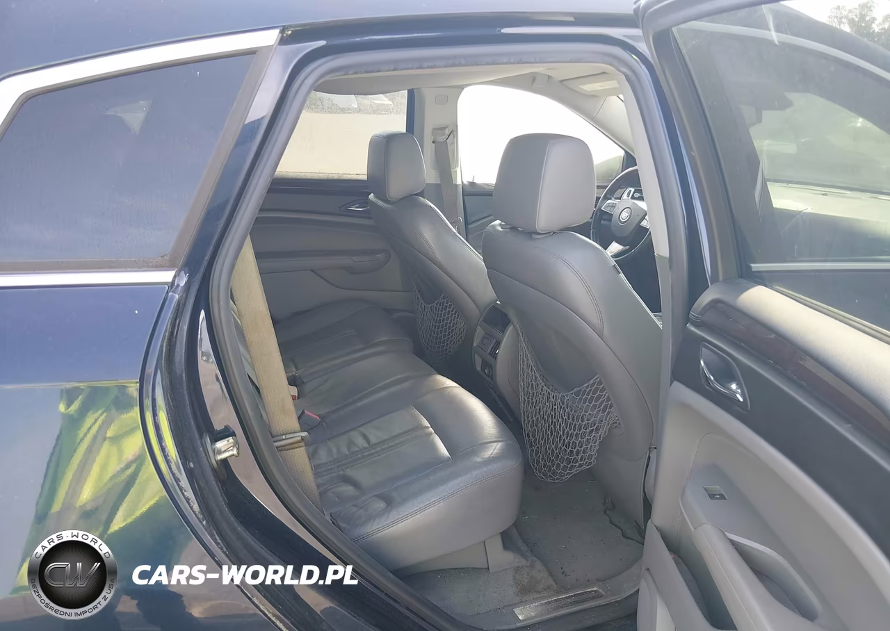 2010 Cadillac Srx Luxury Collection VIN:3GYFNAEY3AS586634 - 8