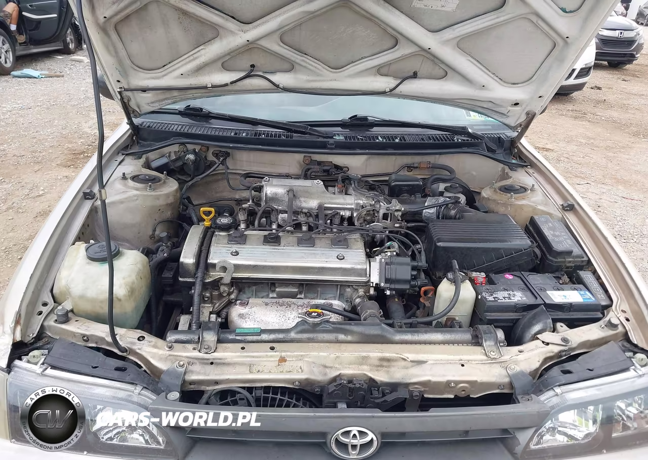 1995 Toyota Corolla Le-Dx VIN:2T1AE09B9SC108748 - 10