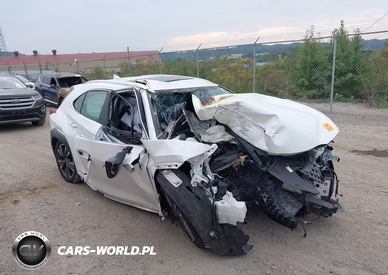 2019 Lexus Ux 250H