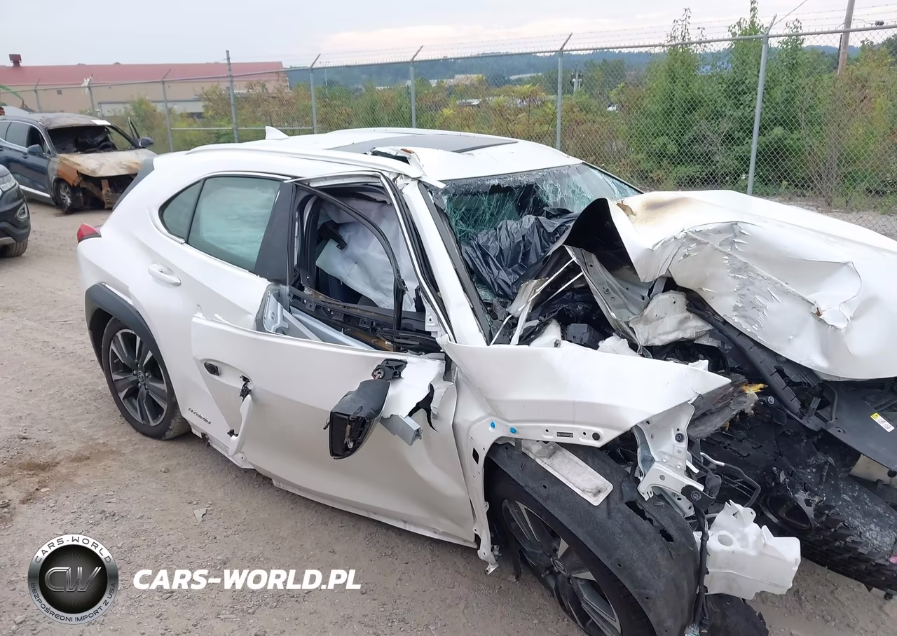 2019 Lexus Ux 250H VIN:JTHU9JBH5K2015695 - 12