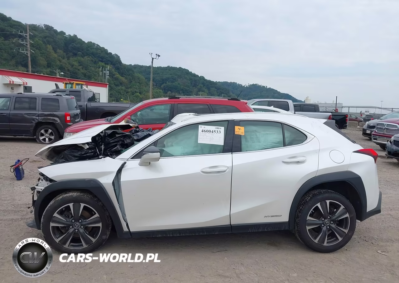 2019 Lexus Ux 250H VIN:JTHU9JBH5K2015695 - 15