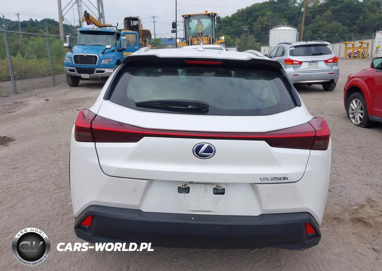 2019 Lexus Ux 250H VIN:JTHU9JBH5K2015695 - 17