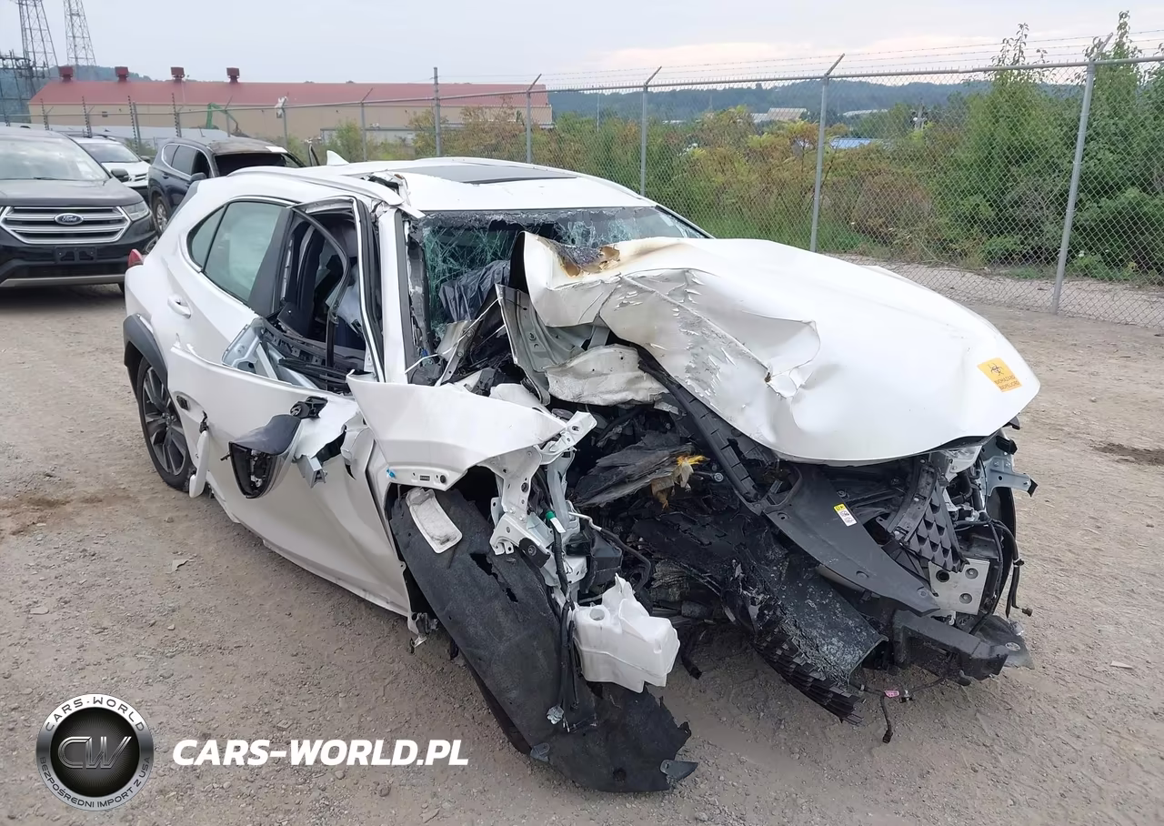 2019 Lexus Ux 250H VIN:JTHU9JBH5K2015695 - 6