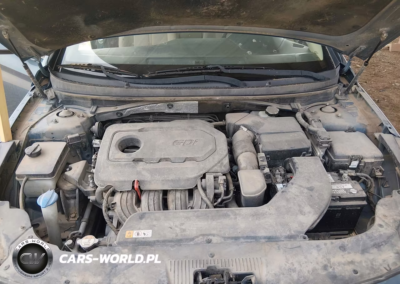 2015 Hyundai Sonata Se VIN:5NPE24AF4FH118610 - 10