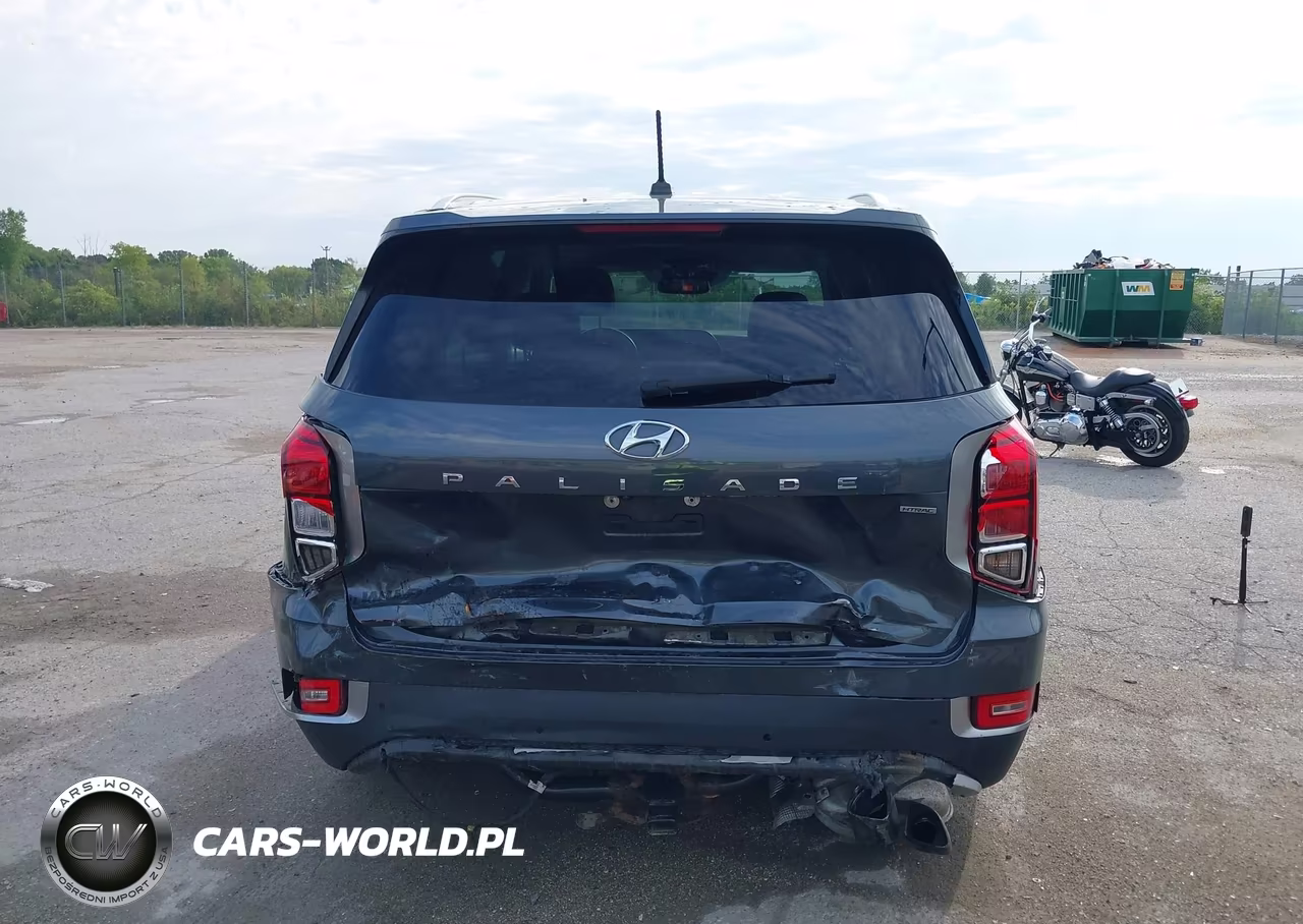 2020 Hyundai Palisade Sel VIN:KM8R2DHE5LU162448 - 16