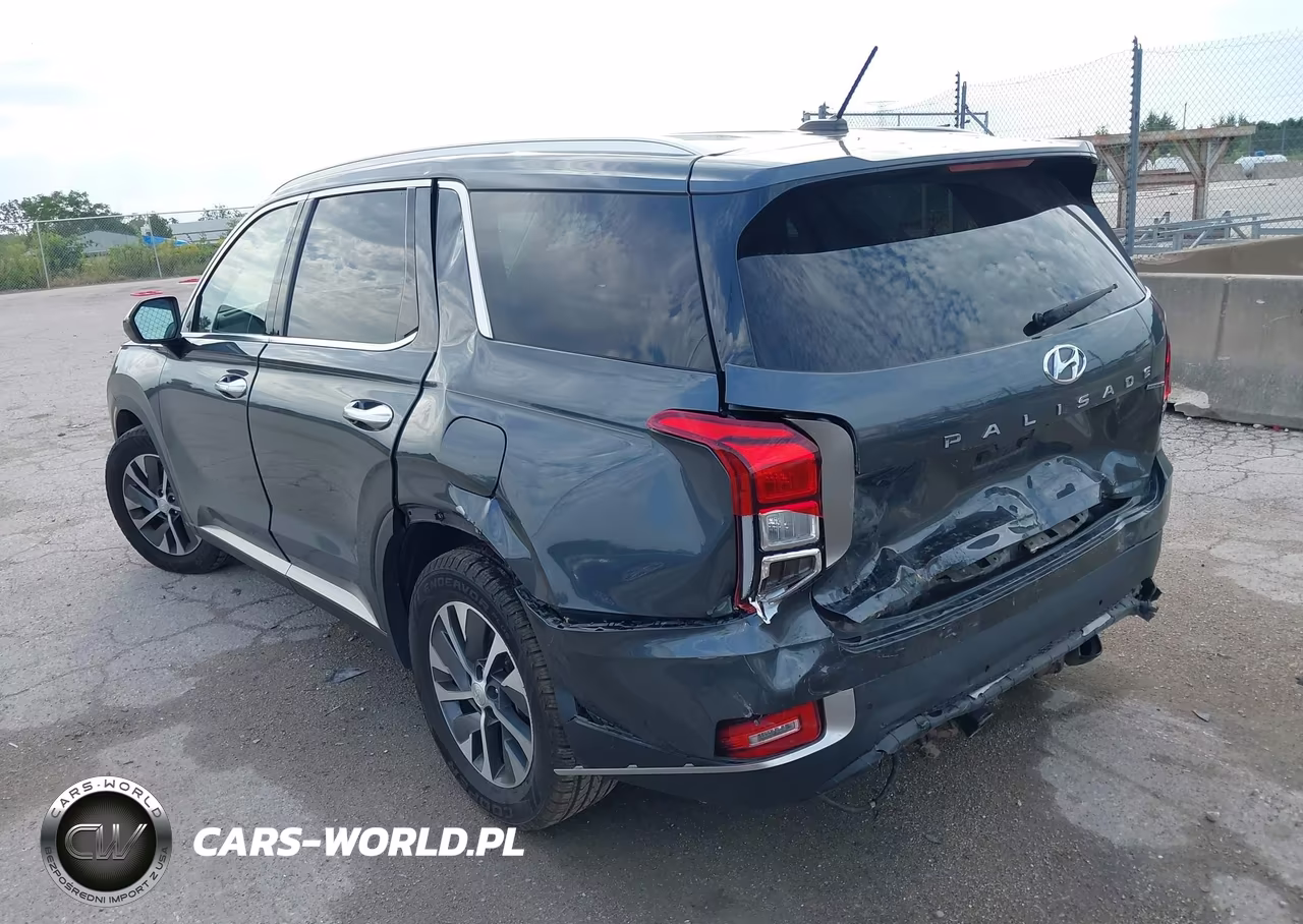 2020 Hyundai Palisade Sel VIN:KM8R2DHE5LU162448 - 3