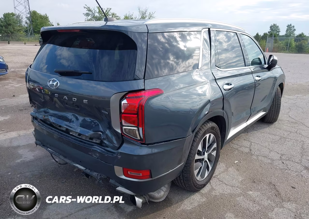 2020 Hyundai Palisade Sel VIN:KM8R2DHE5LU162448 - 4