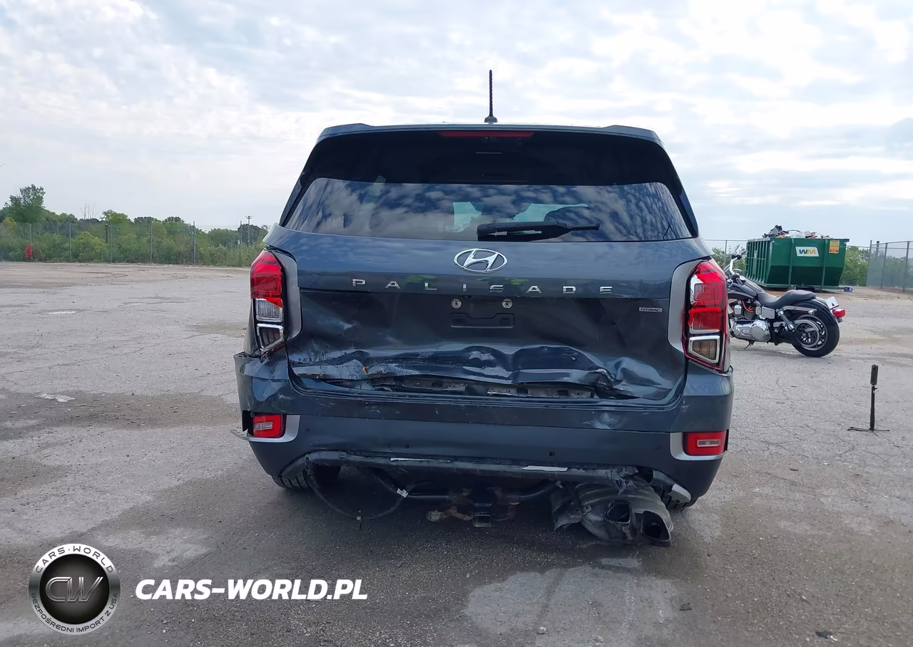 2020 Hyundai Palisade Sel VIN:KM8R2DHE5LU162448 - 6