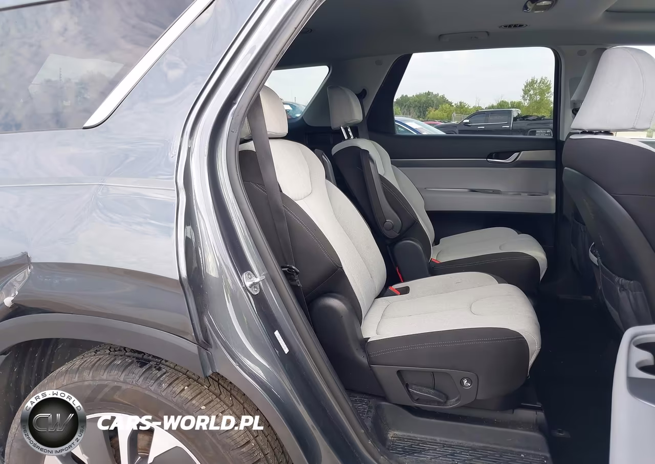 2020 Hyundai Palisade Sel VIN:KM8R2DHE5LU162448 - 8