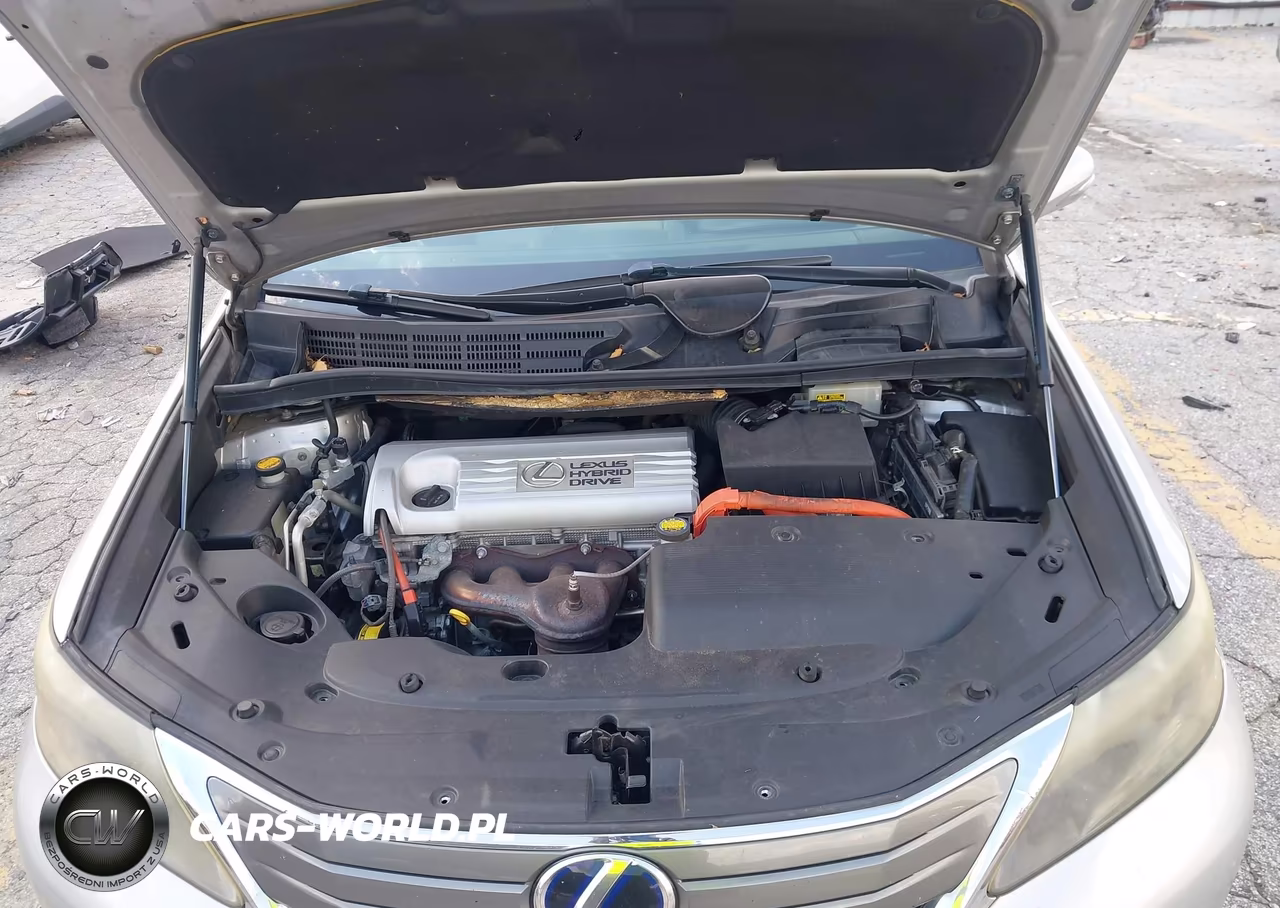 2010 Lexus Hs 250H VIN:JTHBB1BA0A2002835 - 10