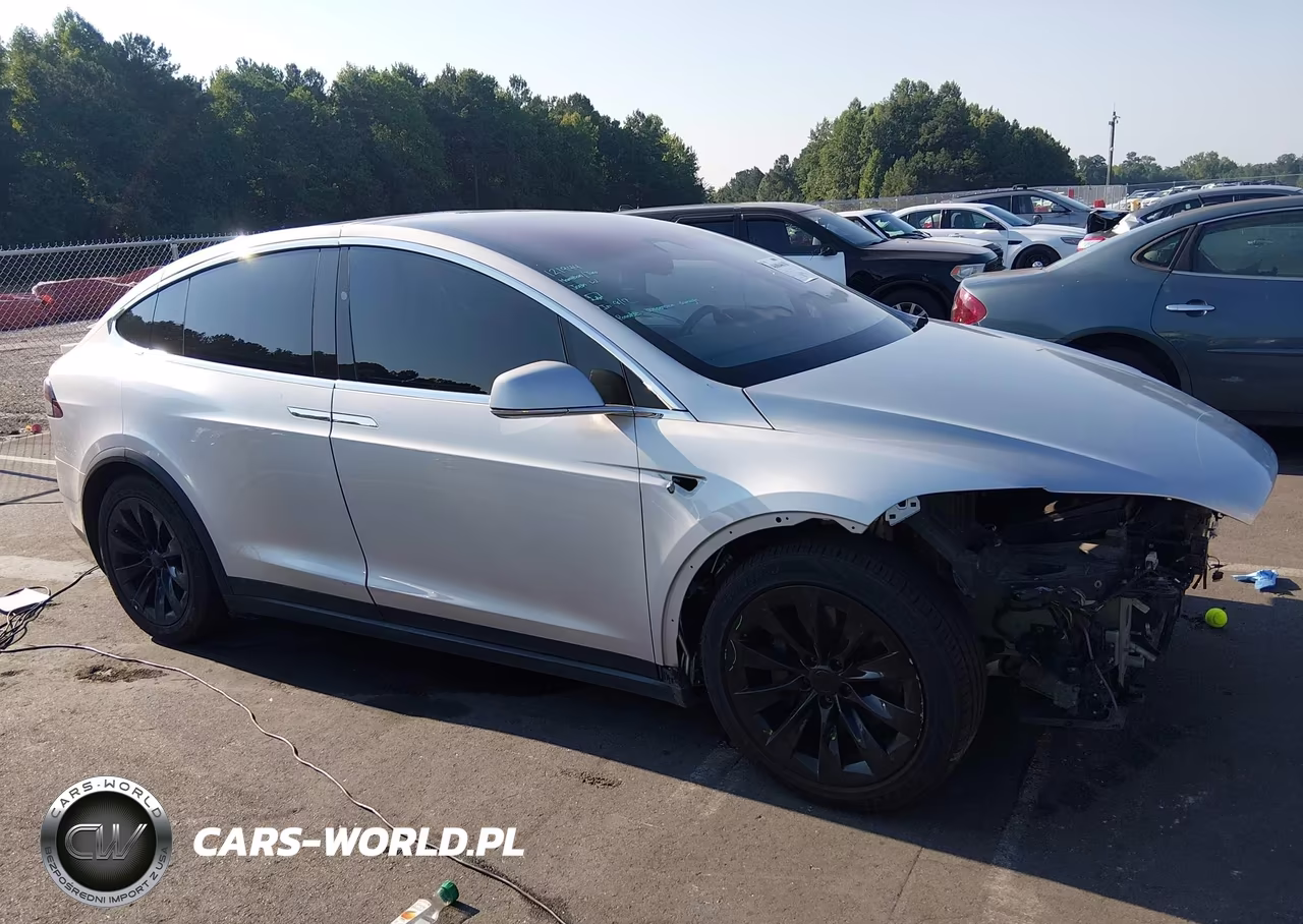 2018 Tesla Model X 100D-75D-P100D VIN:5YJXCAE24JF121994 - 1