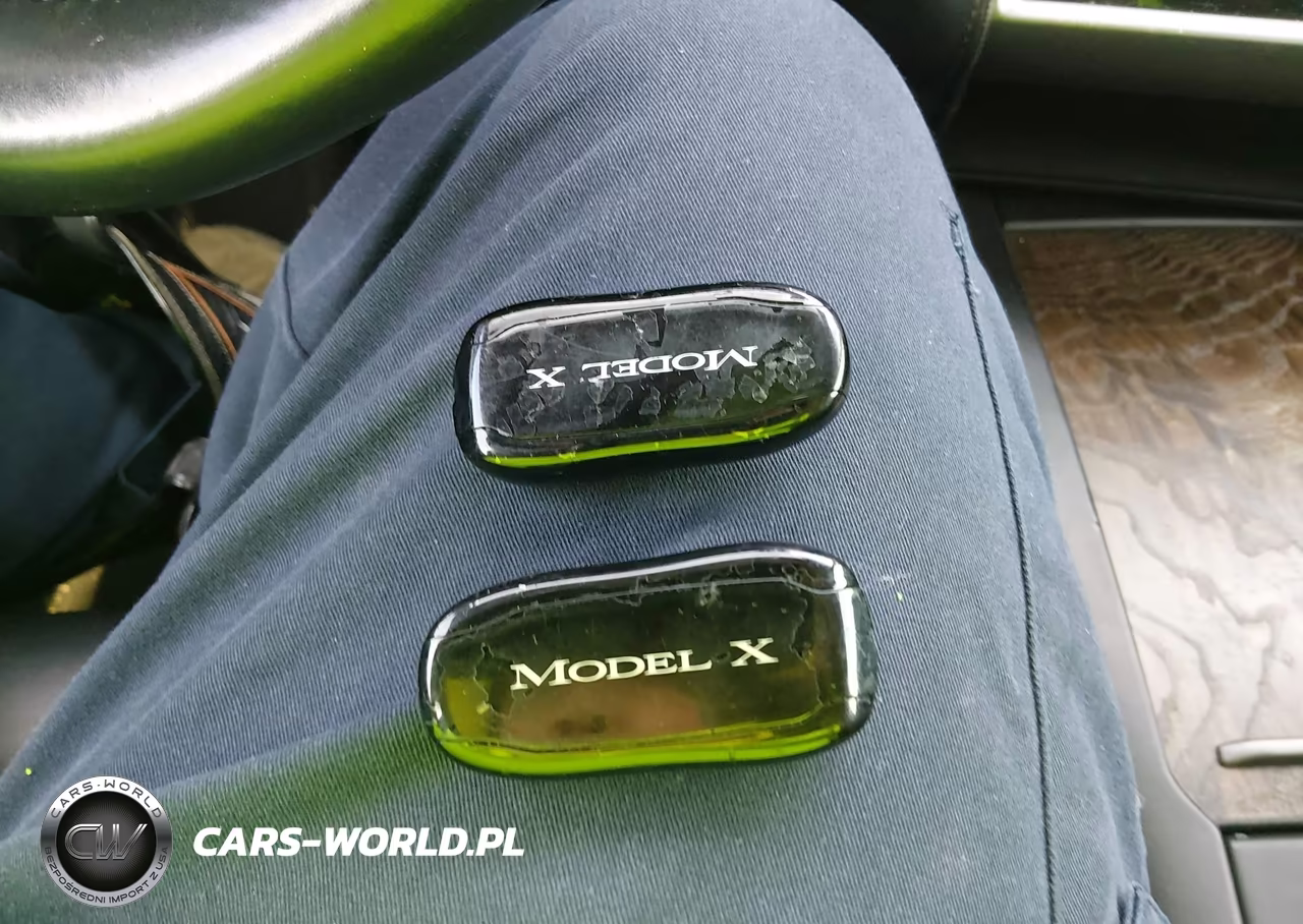 2018 Tesla Model X 100D-75D-P100D VIN:5YJXCAE24JF121994 - 11