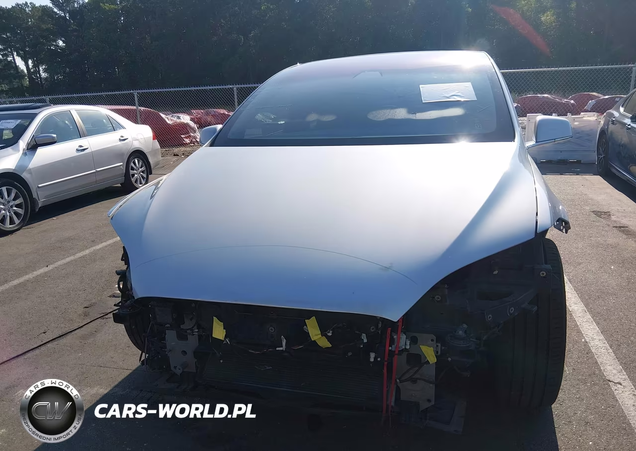 2018 Tesla Model X 100D-75D-P100D VIN:5YJXCAE24JF121994 - 12
