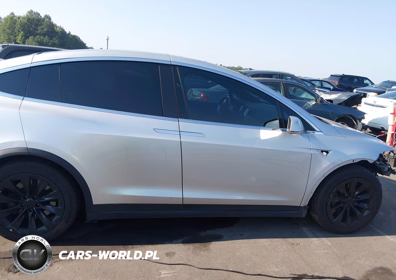 2018 Tesla Model X 100D-75D-P100D VIN:5YJXCAE24JF121994 - 13