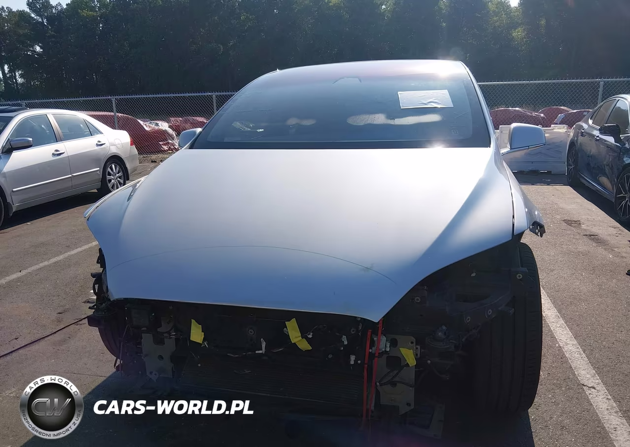 2018 Tesla Model X 100D-75D-P100D VIN:5YJXCAE24JF121994 - 6