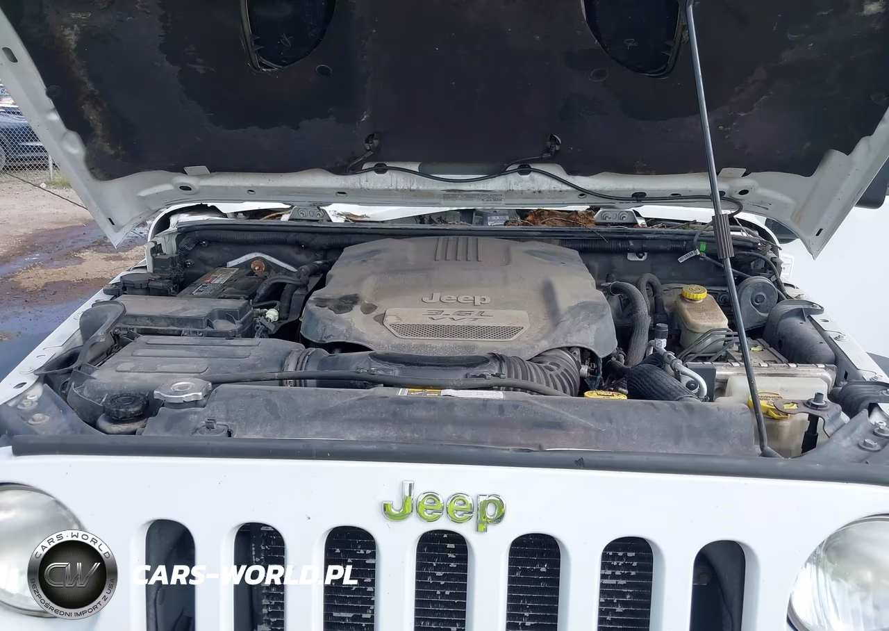 2013 Jeep Wrangler Unlimited Rubicon 10Th Anniversary VIN:1C4BJWFG4DL664433 - 10