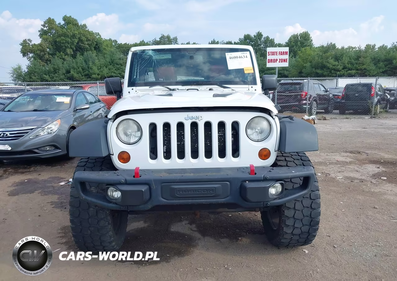 2013 Jeep Wrangler Unlimited Rubicon 10Th Anniversary VIN:1C4BJWFG4DL664433 - 12