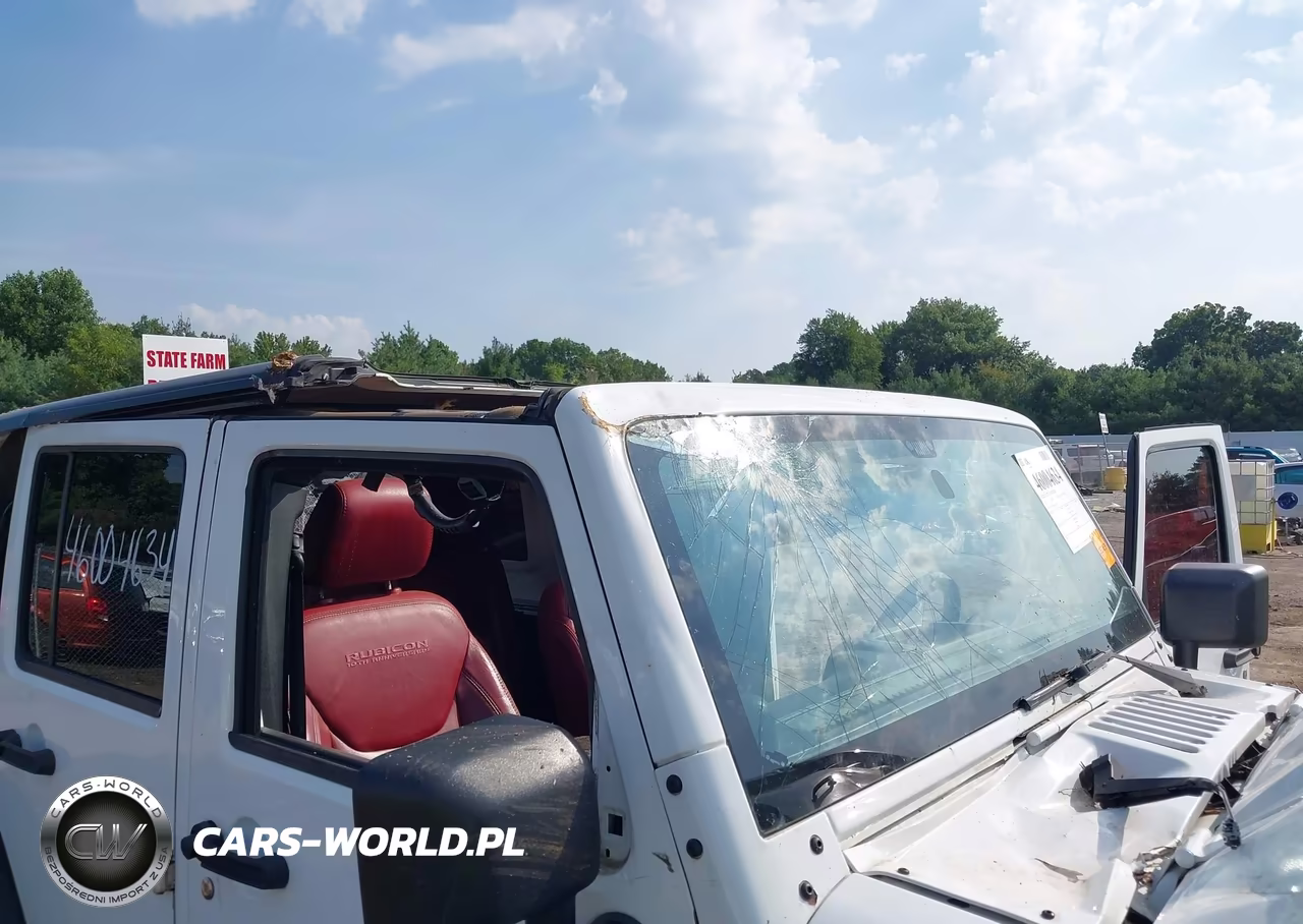 2013 Jeep Wrangler Unlimited Rubicon 10Th Anniversary VIN:1C4BJWFG4DL664433 - 19