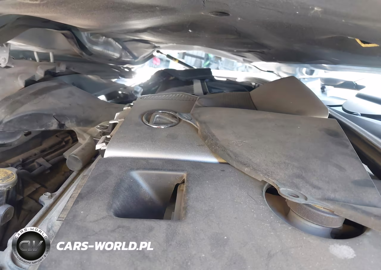 2008 Lexus Rx 400H VIN:JTJGW31U982007378 - 10