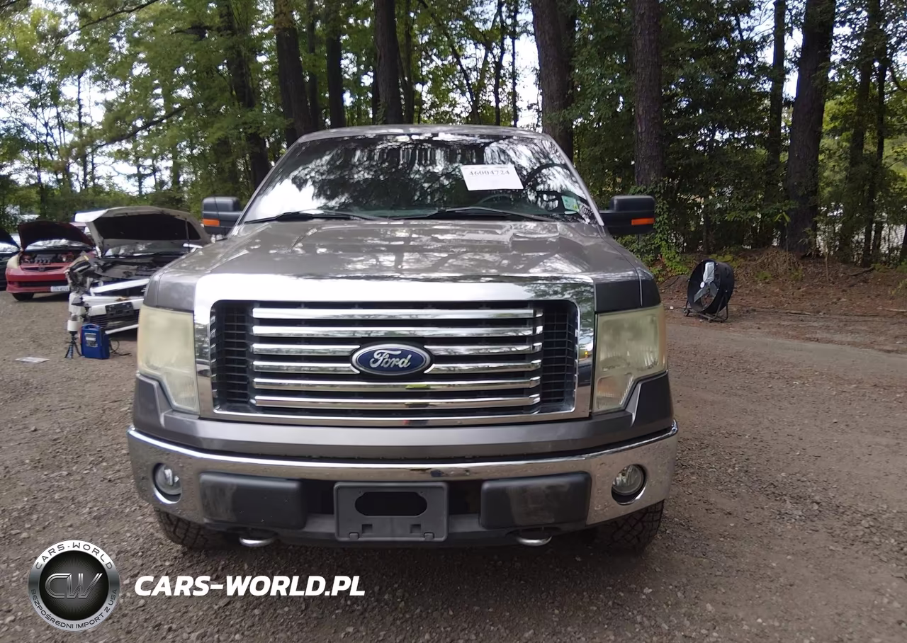 2010 Ford F-150 Fx4-Lariat-Xl-Xlt VIN:1FTFX1EV5AFC33872 - 12