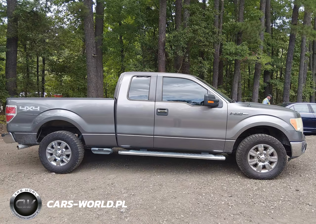 2010 Ford F-150 Fx4-Lariat-Xl-Xlt VIN:1FTFX1EV5AFC33872 - 13