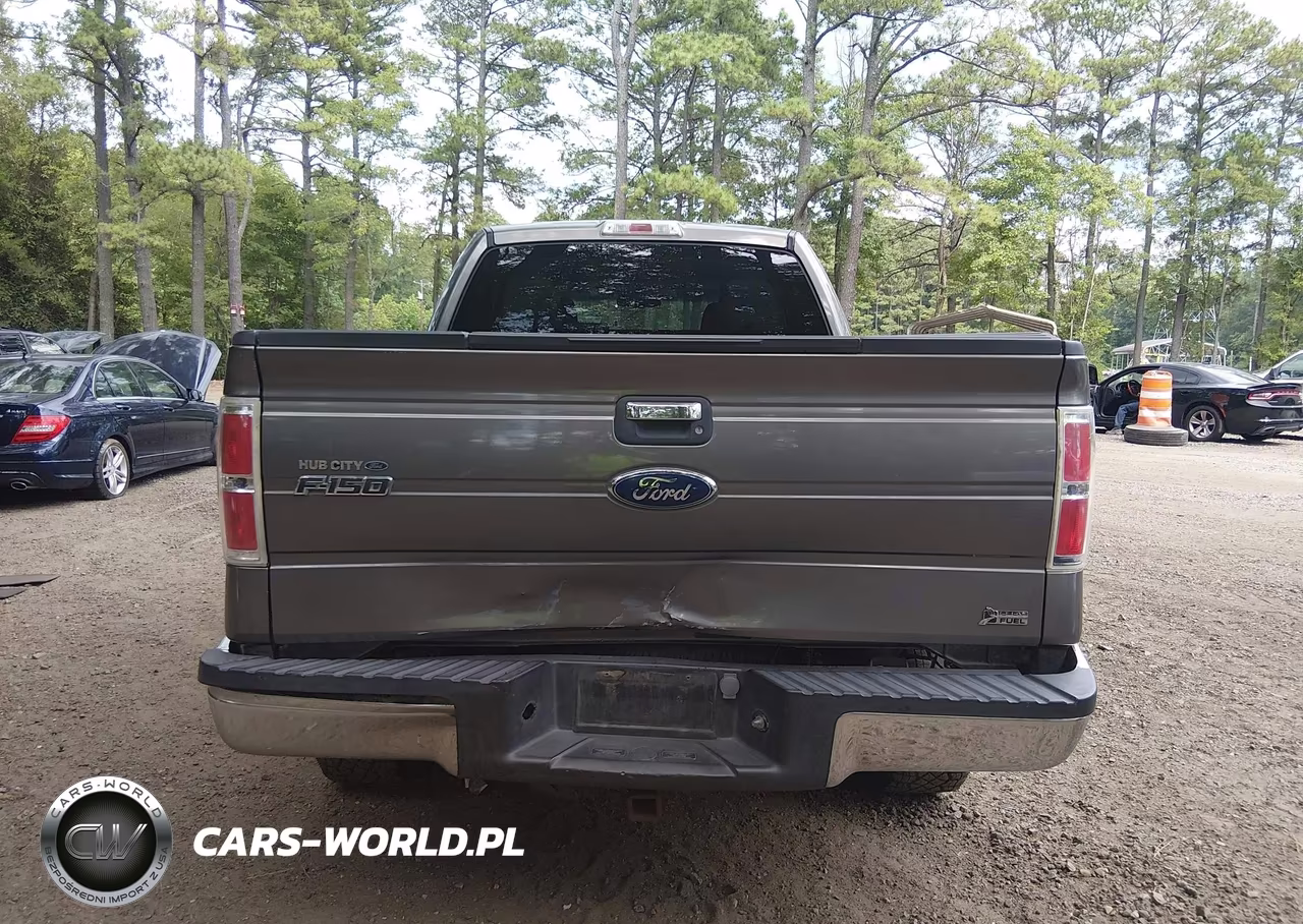 2010 Ford F-150 Fx4-Lariat-Xl-Xlt VIN:1FTFX1EV5AFC33872 - 16