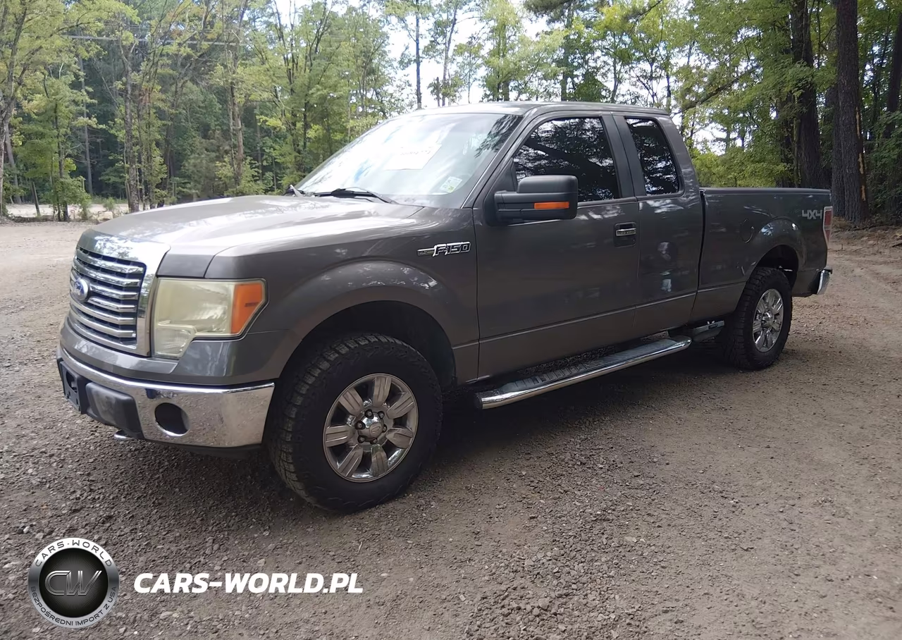 2010 Ford F-150 Fx4-Lariat-Xl-Xlt VIN:1FTFX1EV5AFC33872 - 2