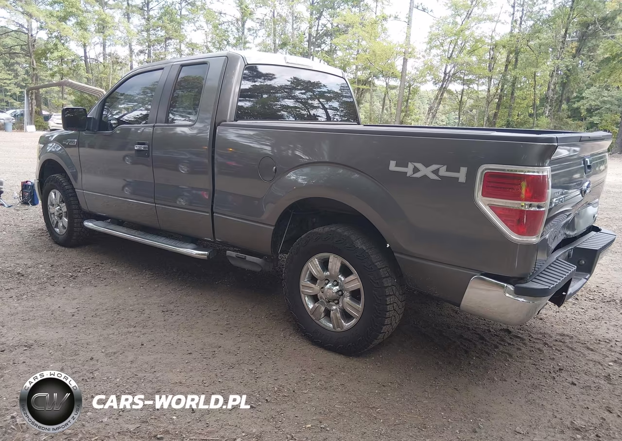 2010 Ford F-150 Fx4-Lariat-Xl-Xlt VIN:1FTFX1EV5AFC33872 - 3