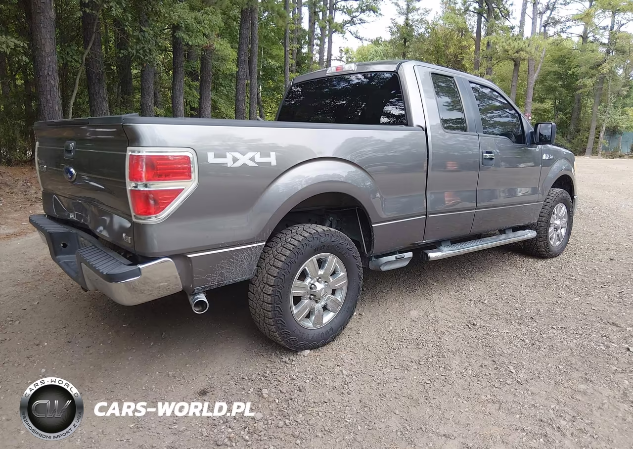 2010 Ford F-150 Fx4-Lariat-Xl-Xlt VIN:1FTFX1EV5AFC33872 - 4