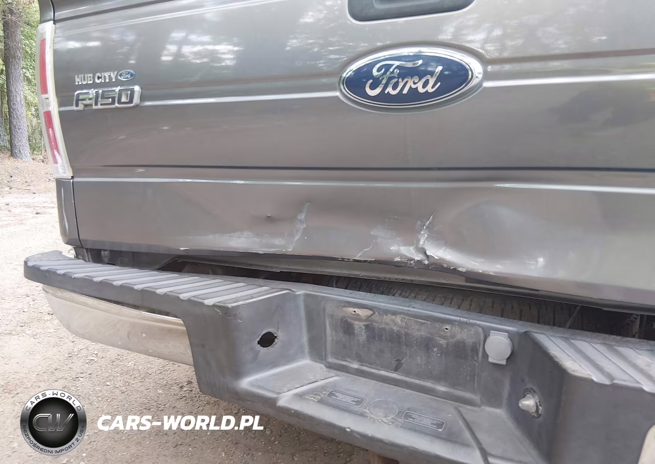 2010 Ford F-150 Fx4-Lariat-Xl-Xlt VIN:1FTFX1EV5AFC33872 - 6