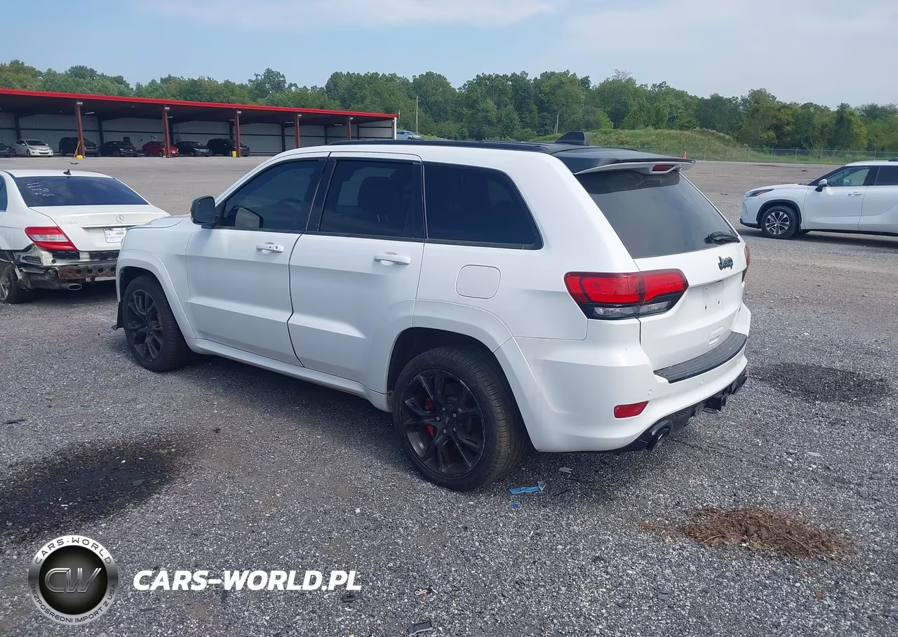 2014 Jeep Grand Cherokee Srt8 VIN:1C4RJFDJXEC434734 - 3