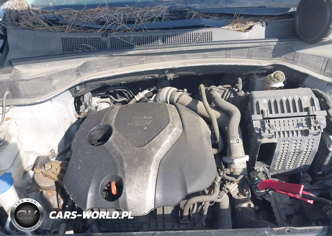 2014 Hyundai Santa Fe Sport 2.0L Turbo VIN:5XYZU3LAXEG173480 - 10
