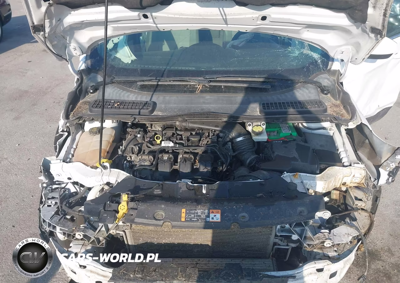 2015 Ford Escape Se VIN:1FMCU0G94FUB08723 - 10