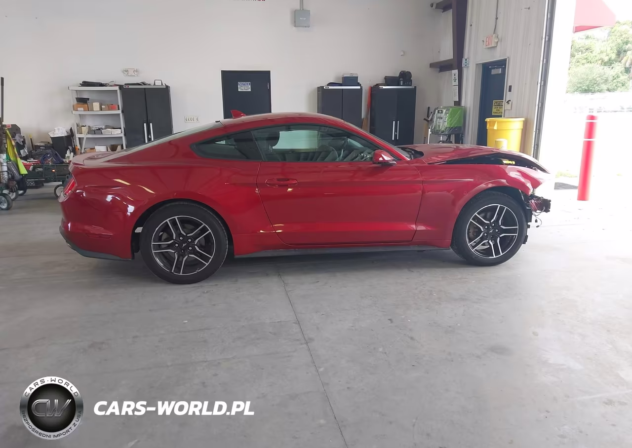 2020 Ford Mustang Ecoboost Fastback VIN:1FA6P8TH0L5166859 - 13