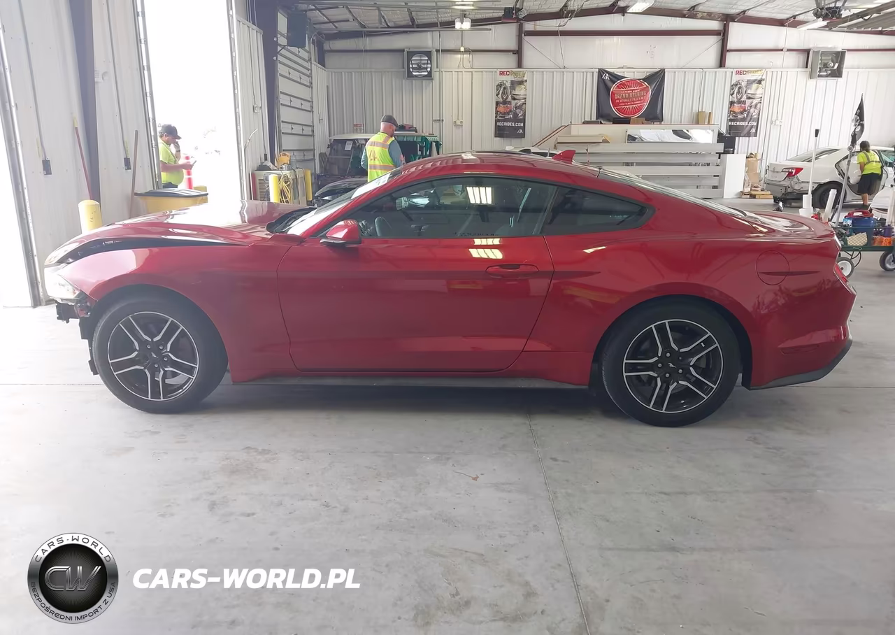2020 Ford Mustang Ecoboost Fastback VIN:1FA6P8TH0L5166859 - 14