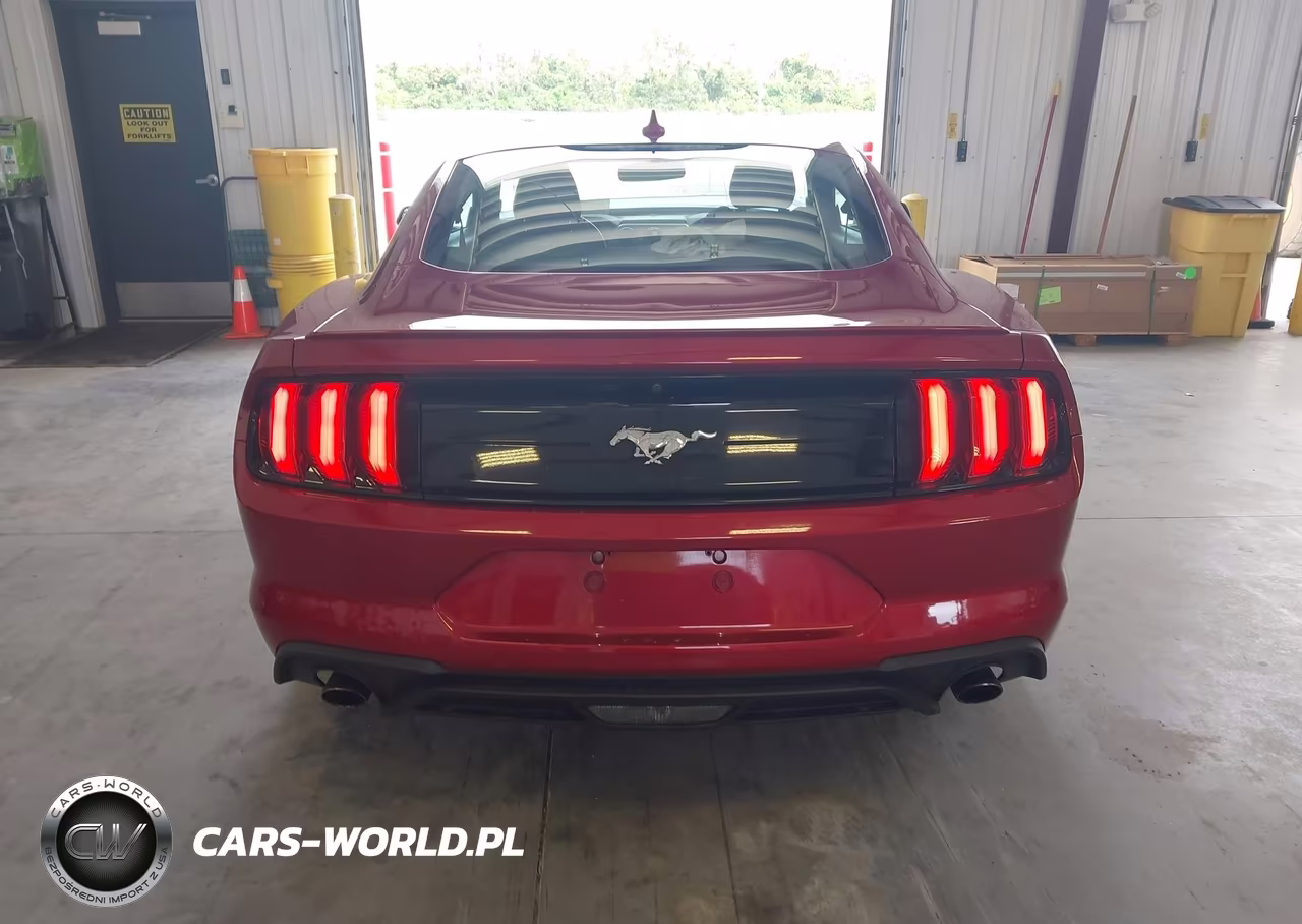 2020 Ford Mustang Ecoboost Fastback VIN:1FA6P8TH0L5166859 - 16